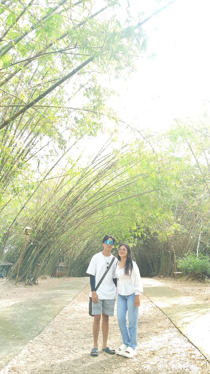 Bamboo 14